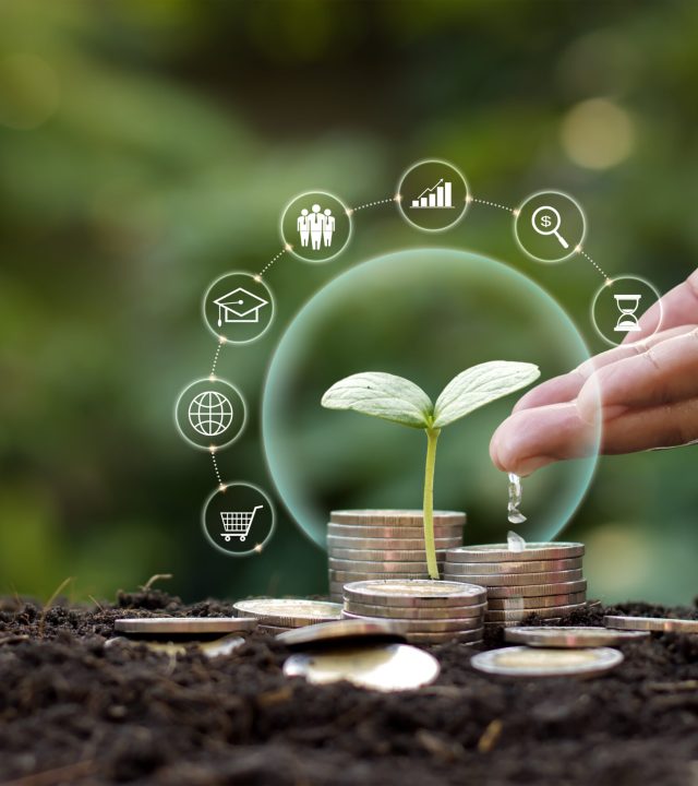 Tree on money and finance icon. Concept of money growth, business, and investment.